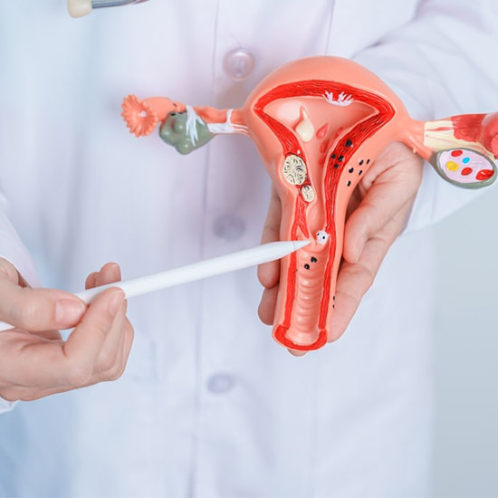 Gynecologist